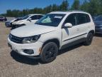 2013 VOLKSWAGEN TIGUAN S