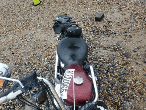 HARLEY-DAVIDSON XL883 L 2008